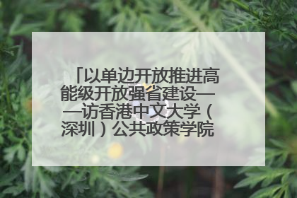 以单边开放推进高能级开放强省建设——访香港中文大学（深圳）公共政策学院院长郑永年