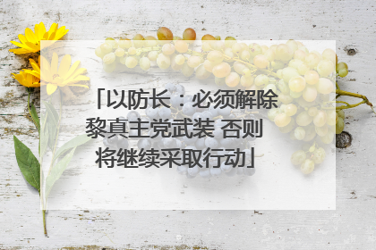 以防长：必须解除黎真主党武装 否则将继续采取行动