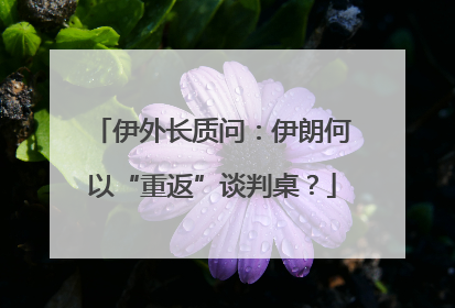 伊外长质问：伊朗何以“重返”谈判桌？