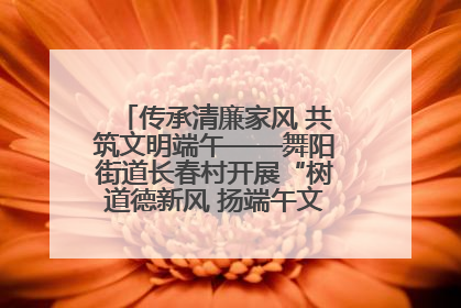 传承清廉家风 共筑文明端午——舞阳街道长春村开展“树道德新风 扬端午文化”主题活动