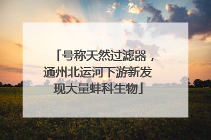 号称天然过滤器，通州北运河下游新发现大量蚌科生物