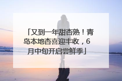 又到一年甜杏熟！青岛本地杏喜迎丰收，6月中旬开启尝鲜季