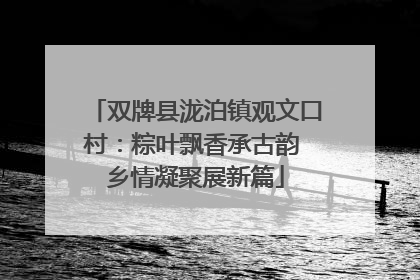 双牌县泷泊镇观文口村：粽叶飘香承古韵 乡情凝聚展新篇