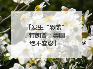 发生“恐袭”，特朗普：美国绝不容忍