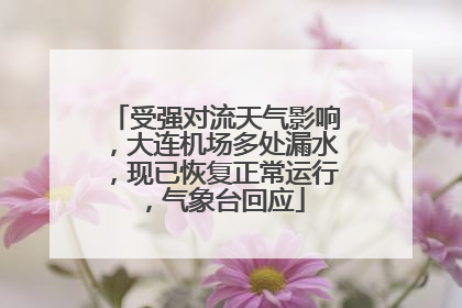 受强对流天气影响，大连机场多处漏水，现已恢复正常运行，气象台回应