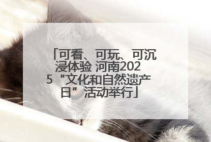 可看、可玩、可沉浸体验 河南2025“文化和自然遗产日”活动举行