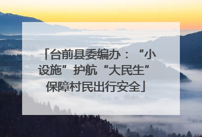 台前县委编办：“小设施”护航“大民生” 保障村民出行安全