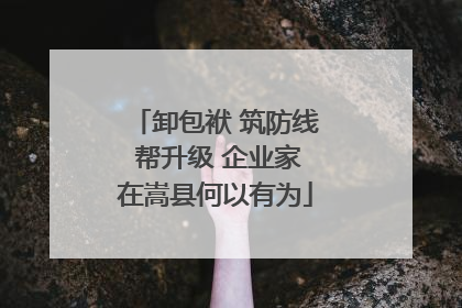 卸包袱 筑防线 帮升级 企业家在嵩县何以有为