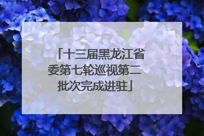 十三届黑龙江省委第七轮巡视第二批次完成进驻