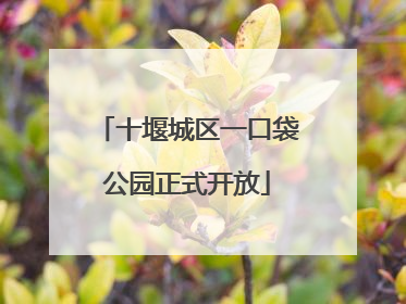 十堰城区一口袋公园正式开放