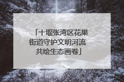 十堰张湾区花果街道守护文明河流 共绘生态画卷