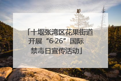 十堰张湾区花果街道开展“6·26”国际禁毒日宣传活动