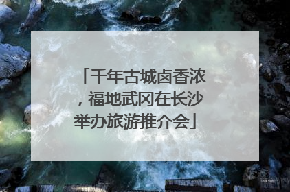 千年古城卤香浓，福地武冈在长沙举办旅游推介会