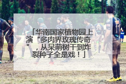 华南国家植物园上演“多肉界玫瑰传奇”，从呆萌树干到炸裂种子全是戏！