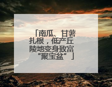 南瓜、甘薯扎根，低产丘陵地变身致富“聚宝盆”