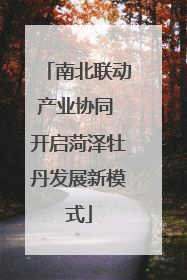 南北联动产业协同 开启菏泽牡丹发展新模式