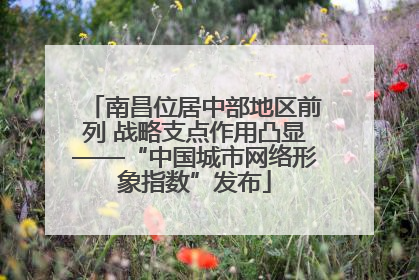 南昌位居中部地区前列 战略支点作用凸显——“中国城市网络形象指数”发布