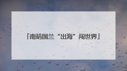 南靖国兰“出海”闯世界