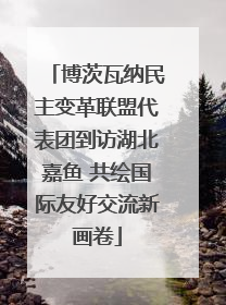 博茨瓦纳民主变革联盟代表团到访湖北嘉鱼 共绘国际友好交流新画卷