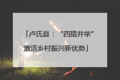 卢氏县：“四措并举”激活乡村振兴新优势