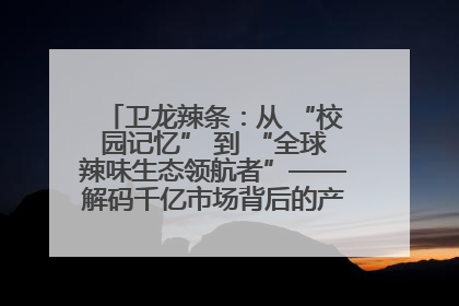 卫龙辣条：从 “校园记忆” 到 “全球辣味生态领航者”——解码千亿市场背后的产品创新与全链路破圈