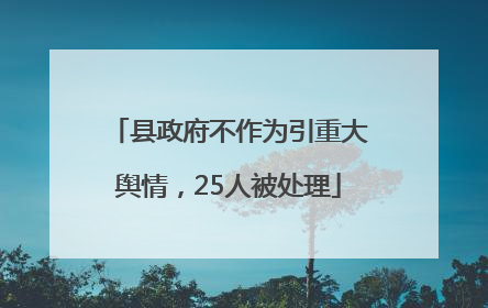 县政府不作为引重大舆情，25人被处理
