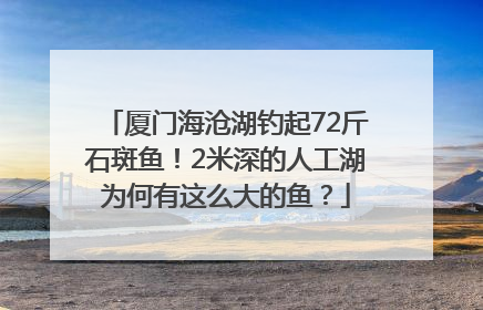 厦门海沧湖钓起72斤石斑鱼！2米深的人工湖为何有这么大的鱼？