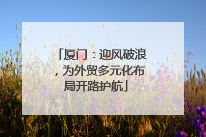 厦门：迎风破浪，为外贸多元化布局开路护航