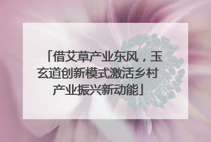 借艾草产业东风，玉玄道创新模式激活乡村产业振兴新动能