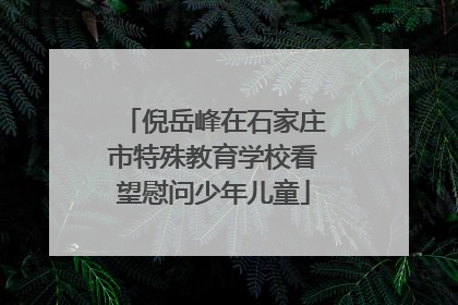 倪岳峰在石家庄市特殊教育学校看望慰问少年儿童