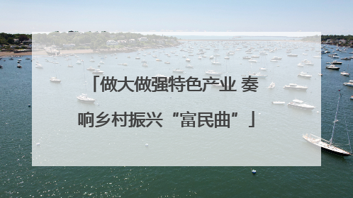 做大做强特色产业 奏响乡村振兴“富民曲”