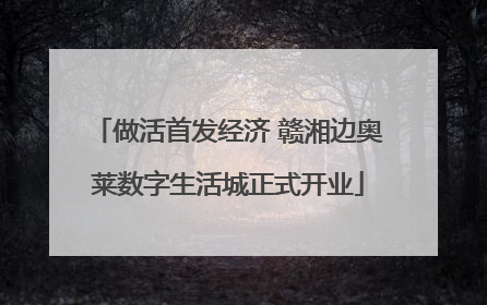 做活首发经济 赣湘边奥莱数字生活城正式开业