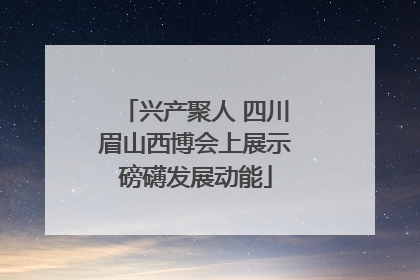 兴产聚人 四川眉山西博会上展示磅礴发展动能