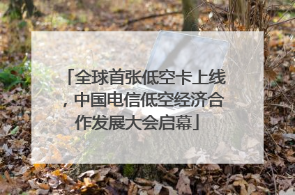 全球首张低空卡上线，中国电信低空经济合作发展大会启幕