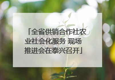 全省供销合作社农业社会化服务 现场推进会在泰兴召开