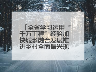 全省学习运用“千万工程”经验加快城乡融合发展推进乡村全面振兴现场会在上杭举行