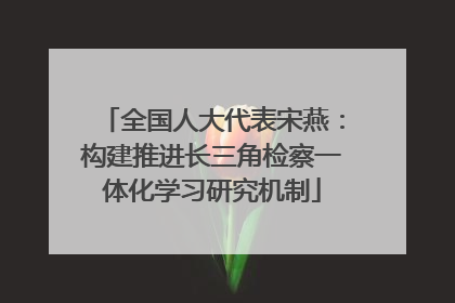 全国人大代表宋燕：构建推进长三角检察一体化学习研究机制