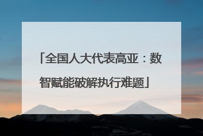 全国人大代表高亚：数智赋能破解执行难题