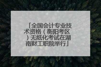 全国会计专业技术资格（衡阳考区）无纸化考试在湖南财工职院举行