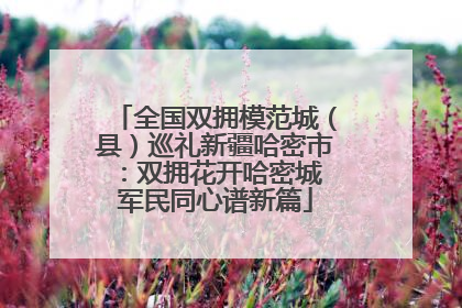 全国双拥模范城（县）巡礼新疆哈密市：双拥花开哈密城 军民同心谱新篇