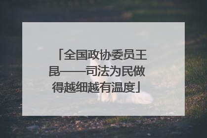全国政协委员王昆——司法为民做得越细越有温度