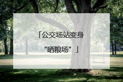 公交场站变身“晒粮场”