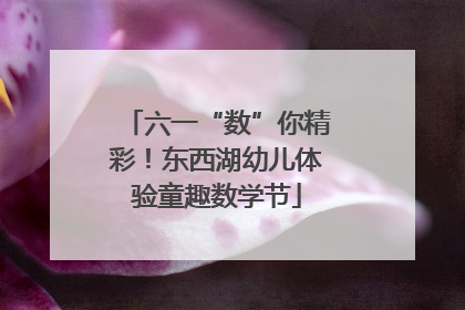 六一“数”你精彩！东西湖幼儿体验童趣数学节