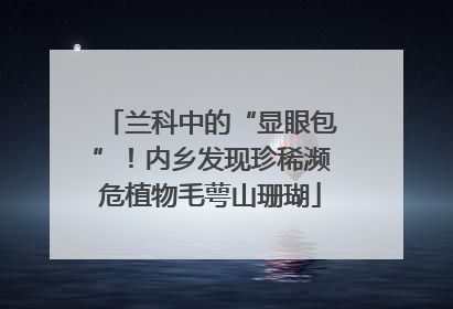 兰科中的“显眼包”！内乡发现珍稀濒危植物毛萼山珊瑚