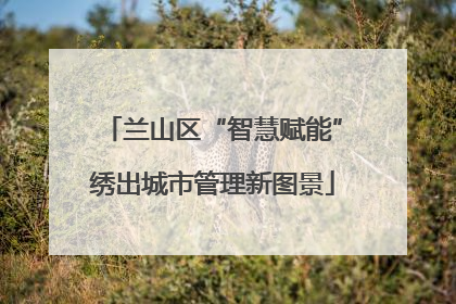 兰山区“智慧赋能”绣出城市管理新图景