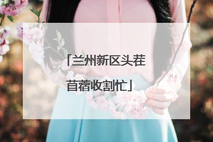 兰州新区头茬苜蓿收割忙