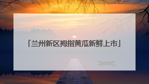 兰州新区拇指黄瓜新鲜上市