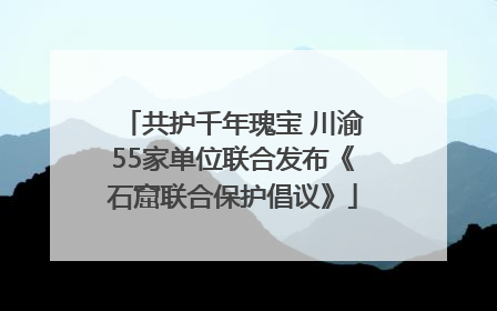 共护千年瑰宝 川渝55家单位联合发布《石窟联合保护倡议》