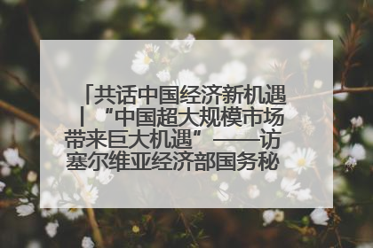 共话中国经济新机遇丨“中国超大规模市场带来巨大机遇”——访塞尔维亚经济部国务秘书尼科利奇