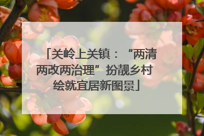 关岭上关镇：“两清两改两治理”扮靓乡村 绘就宜居新图景